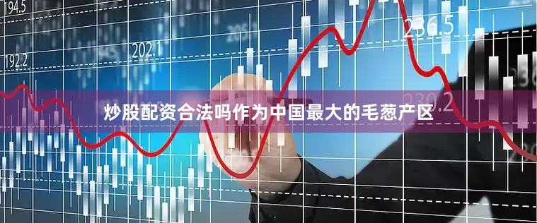炒股配资合法吗作为中国最大的毛葱产区
