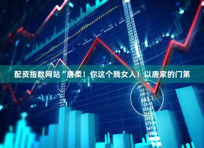 配资指数网站“唐柔！你这个贱女人！以唐家的门第