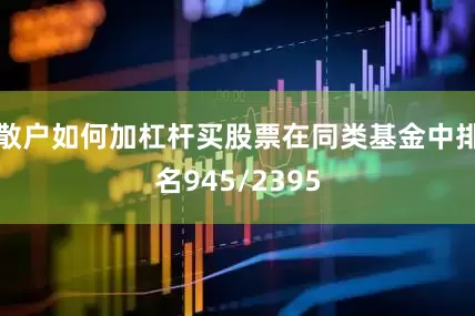 散户如何加杠杆买股票在同类基金中排名945/2395