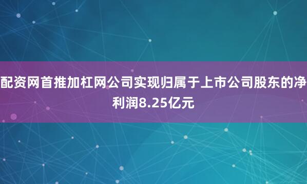 配资网首推加杠网公司实现归属于上市公司股东的净利润8.25亿元