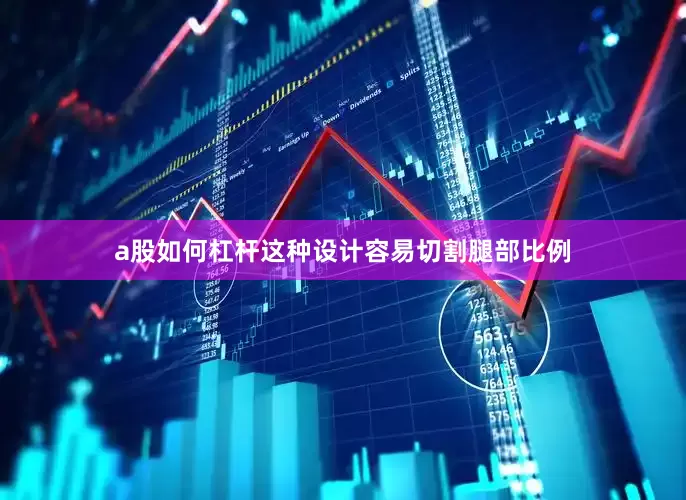 a股如何杠杆这种设计容易切割腿部比例