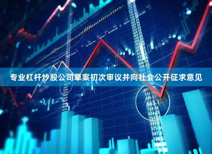 专业杠杆炒股公司草案初次审议并向社会公开征求意见